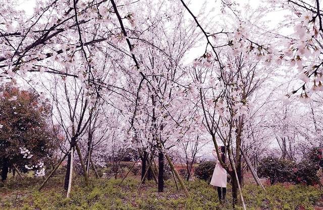 演艺圈事件 各类事件常常引发公众讨论