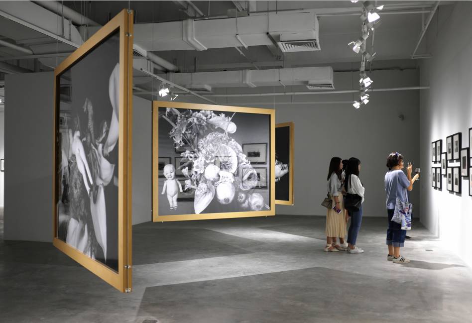 欧美亚洲国产第一精品久久 