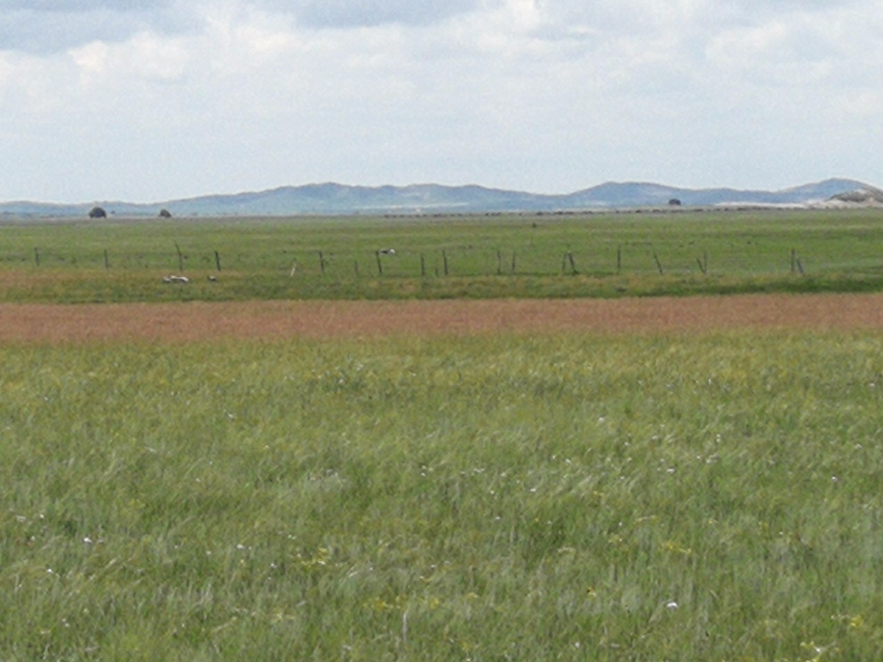 初中生在线视频 积极向上的初中作品海报