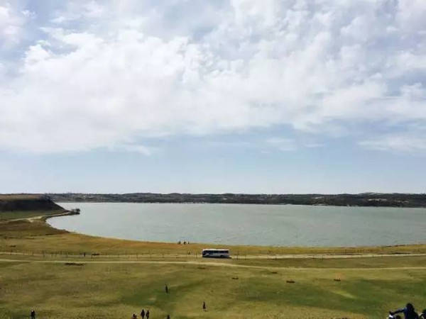 一本之道高清视频海报