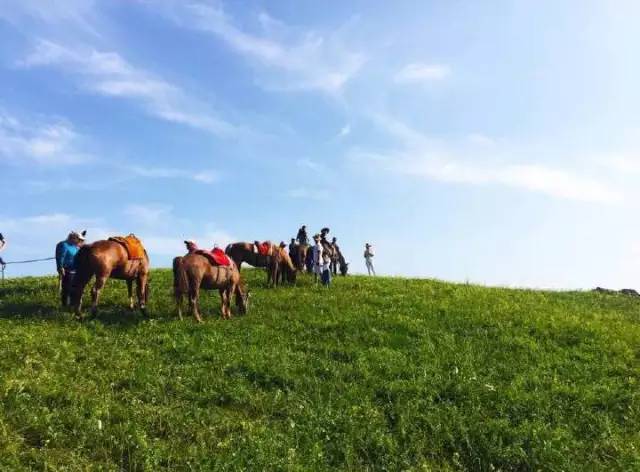 星空无限传媒影院 也是传媒其重要的目标用户海报