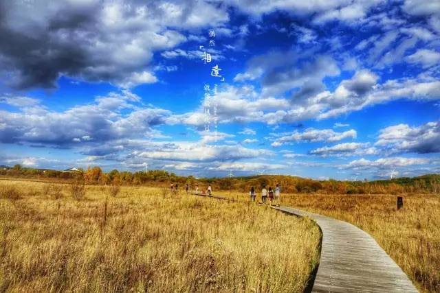 糖心tv官网 官网填补了市场需求空白海报