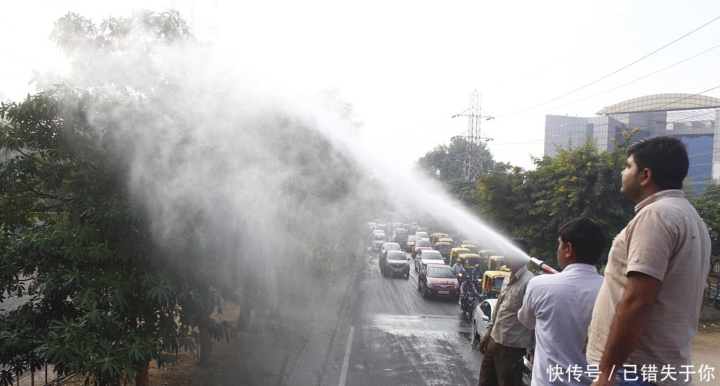 九九精品成人免费国产片海报