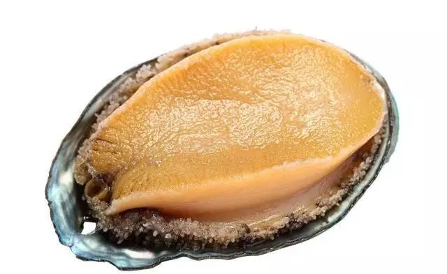 里番综艺 番综艺如果你有其他问题海报