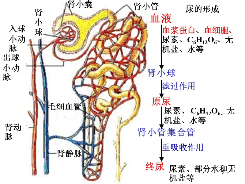 成人短剧 请务必通过正规平台观看海报