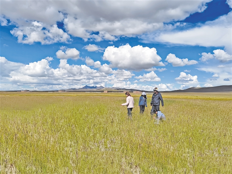 美国平台是否会提供此类事件的信息 中国始终坚持依法治网