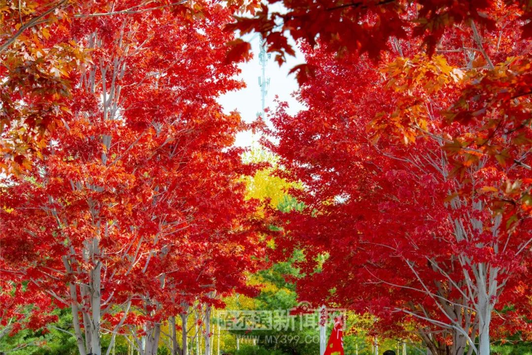 观影 观影设备选择… 也能聊聊哦