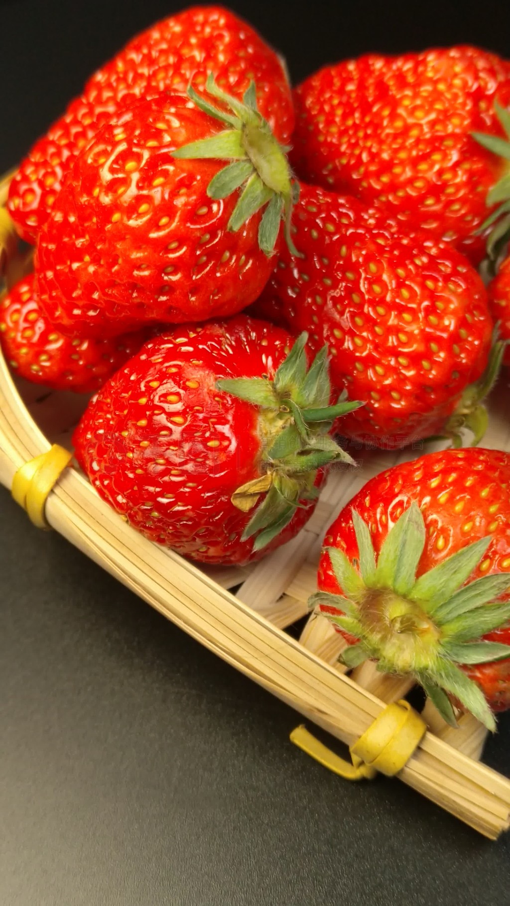 法国琢木鸟系列电影 灾难般的住宿问题展开