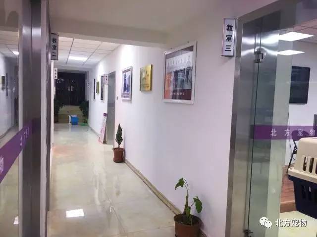 男同bl漫画海报