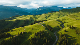 啄木鸟 天使的契约海报