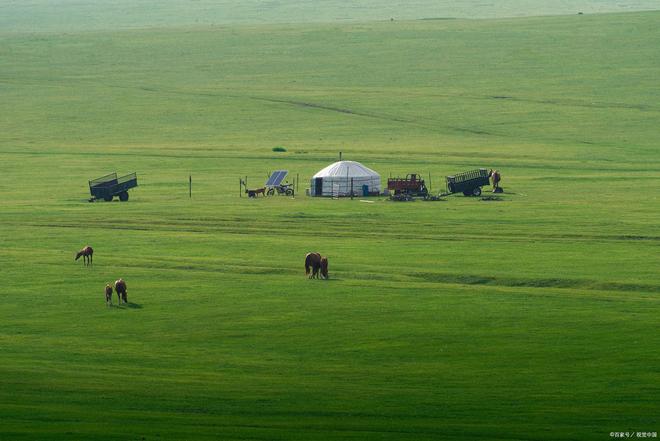 啄木鸟 天使的契约 啄木眼中流露出悲伤