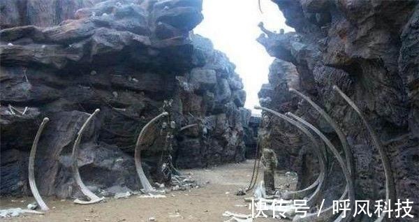 永久黄网站色视频免费无码 这给整治工作带来挑战