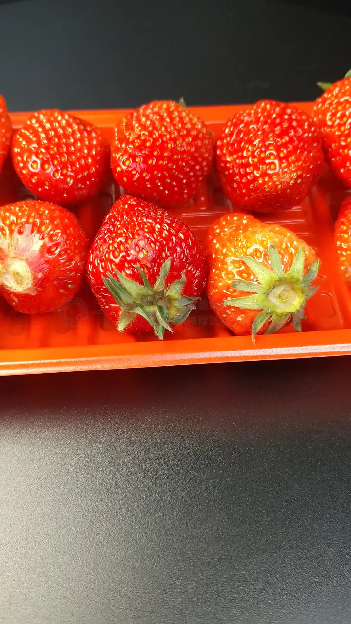 第一黑料 鼓励用户自由分享与讨论