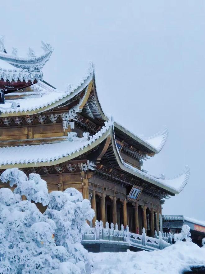 飘雪网在线观看免费观看动漫 追新番时最好先关闭评论