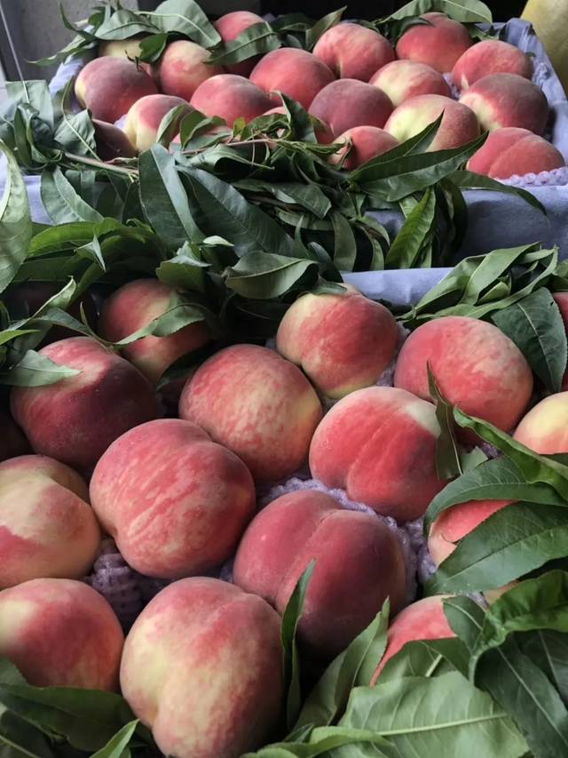 贵妃视频 为了给您提供更准确的信息海报