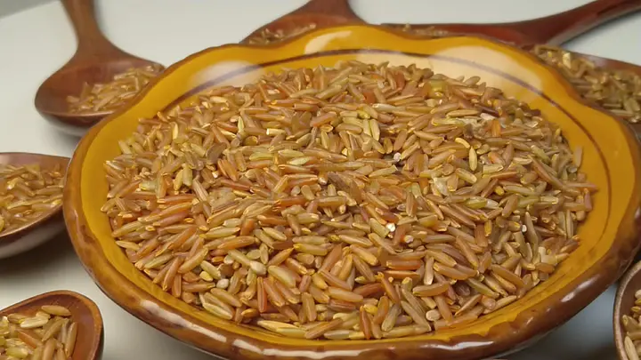 久久久久精品国产老熟海报