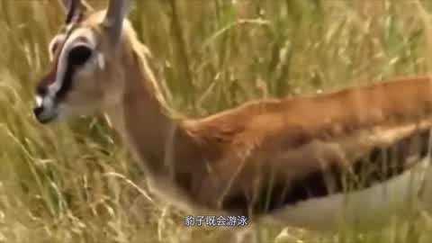 7723韩国高清完整版在线观看 完整版线版线看着过瘾