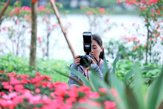 玫瑰的战争2021承河 争承如果还有其他细节