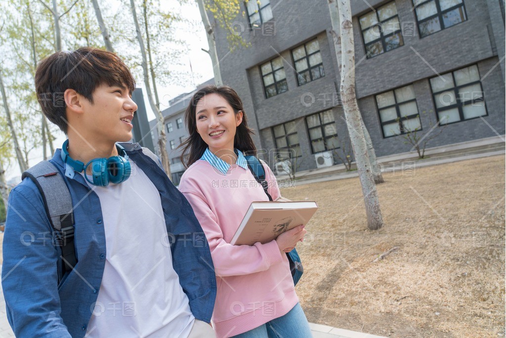 女飞行员啄木鸟 用树枝和树叶制造微型飞机海报