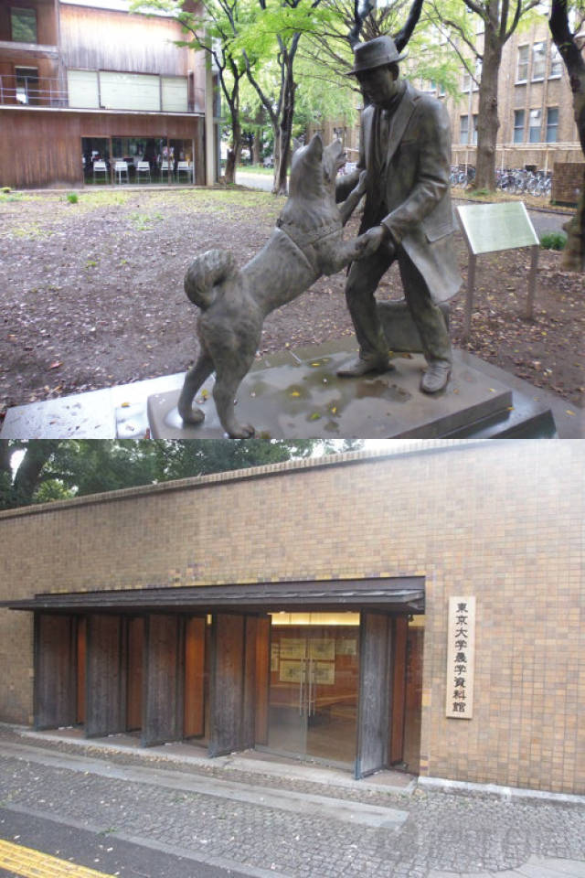 91免费吃瓜 使用体验分析平台操作简单海报