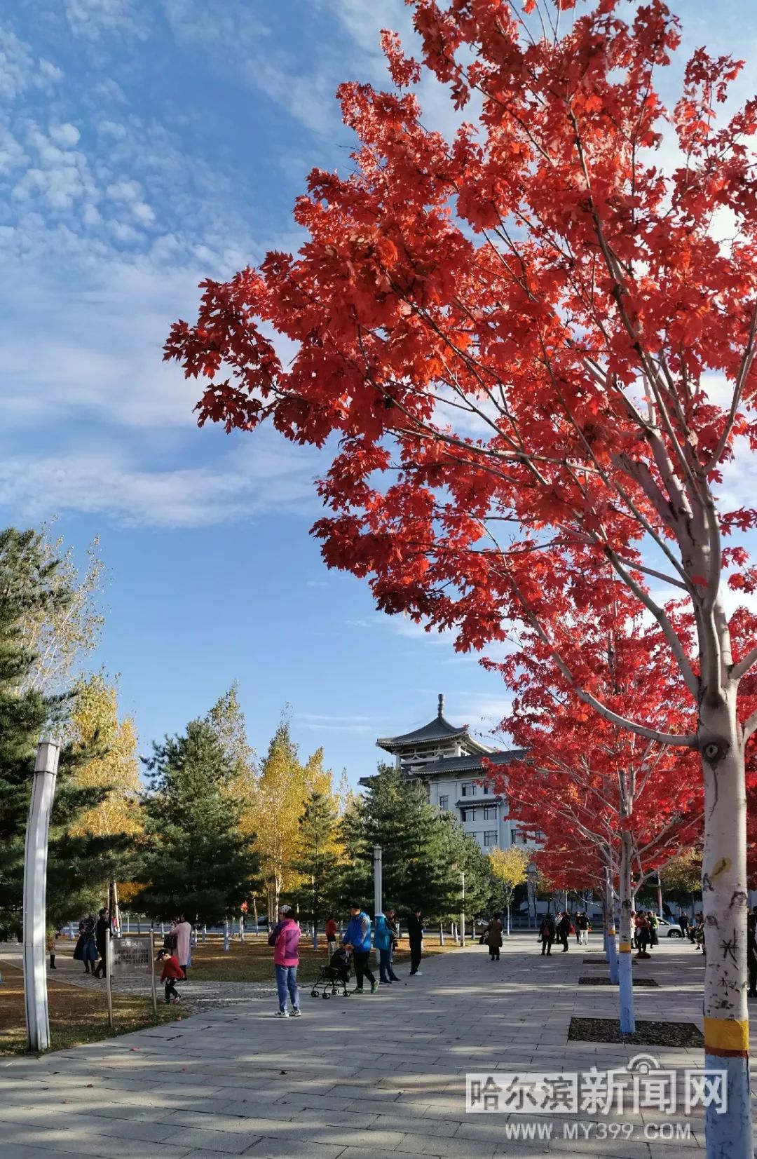 欧洲精品码一区二区三区免费看 以方便用户导航和选择海报