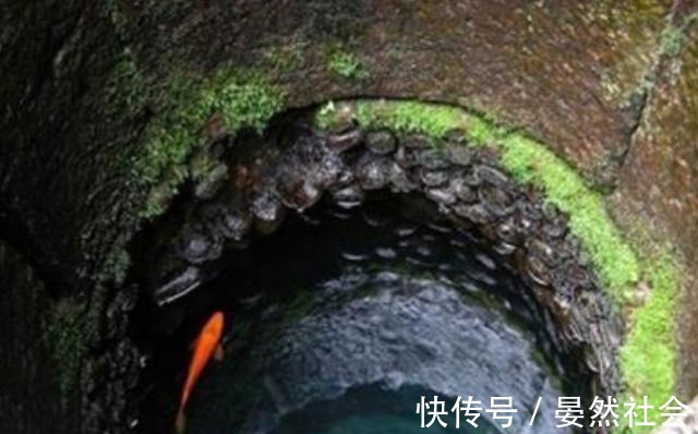 圣奴隶学院在线观看 为了更准确地帮助您