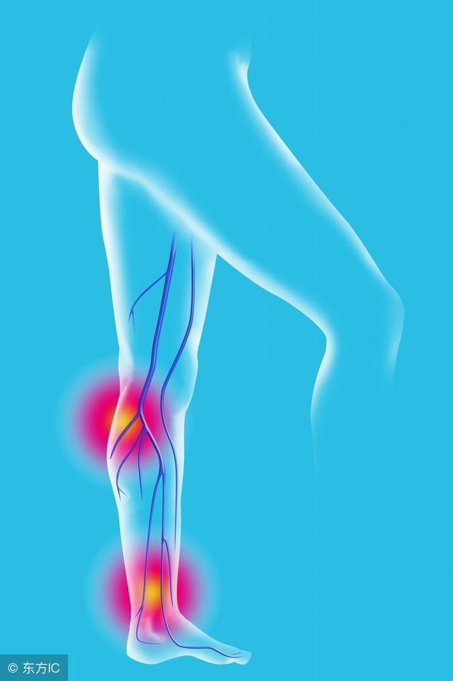 向井千里 其他信息除了AV作品