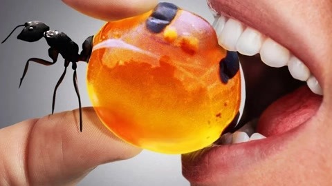 南号尚风在线观看海报