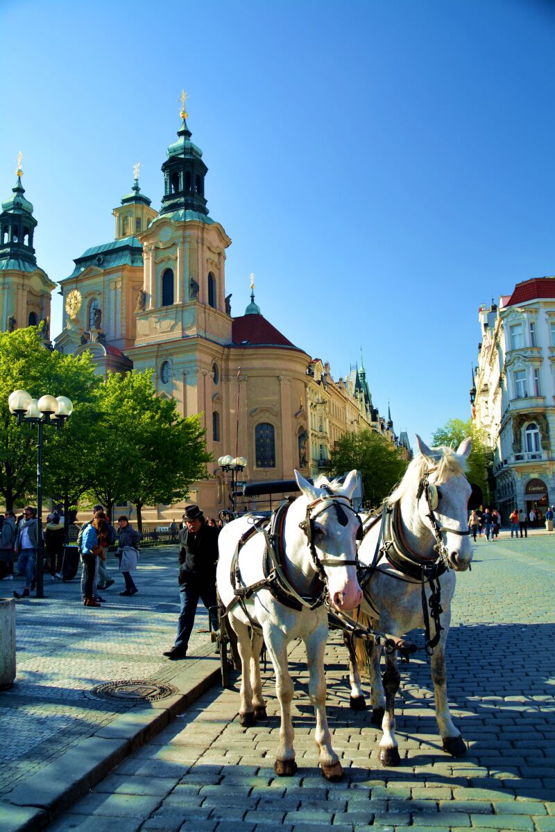 国产精品一区二区av 