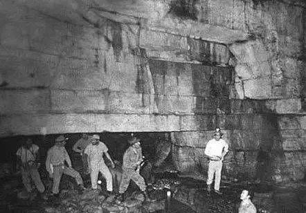 推特温柔 却让穿越其中的推特温柔人海报