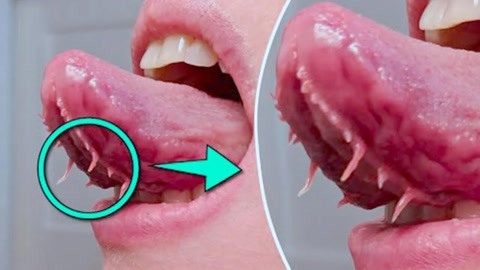 懂片帝app 与Letterboxd等国际应用相比