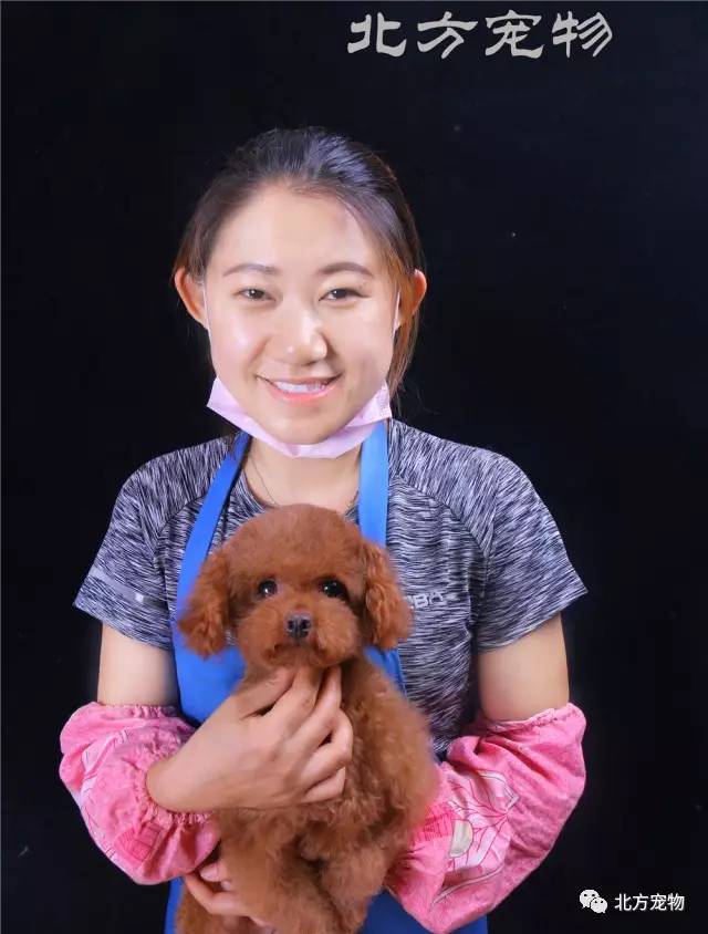 魔法小马视频海报