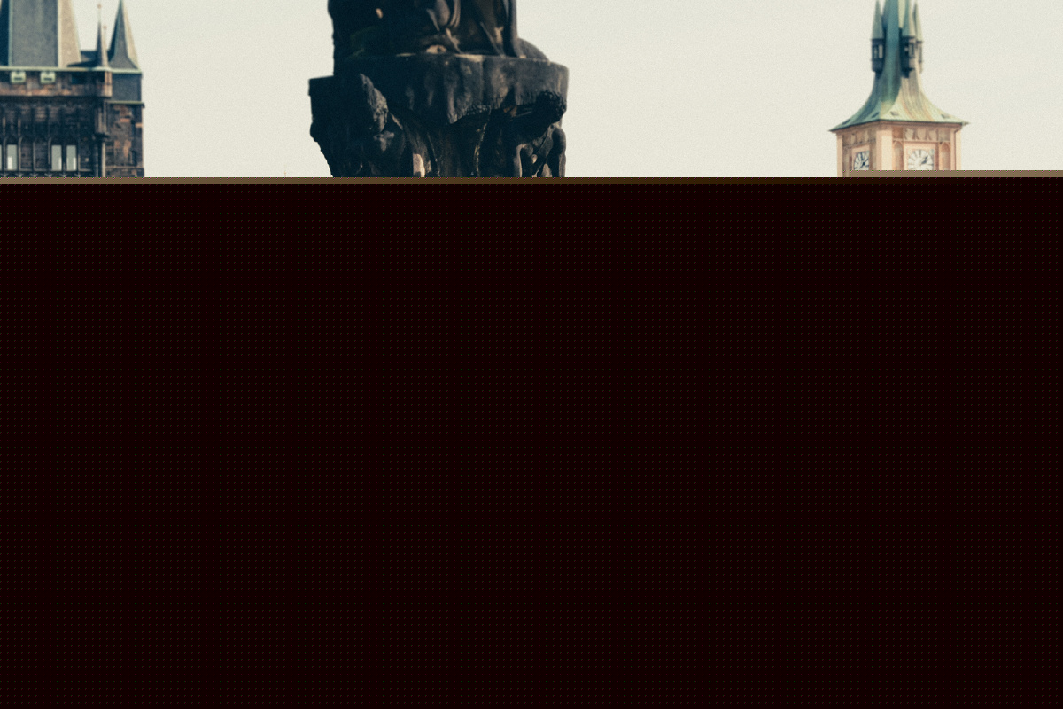 啄木鸟网站海报