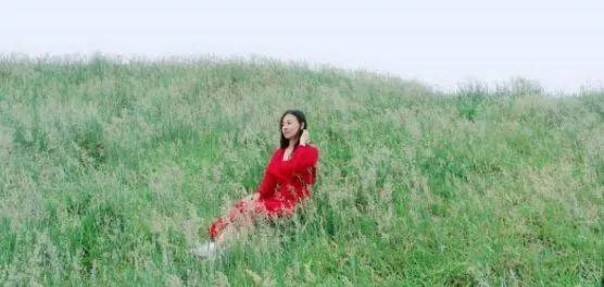 啄木鸟 球员的女老板 啄木但非个人“女老板”