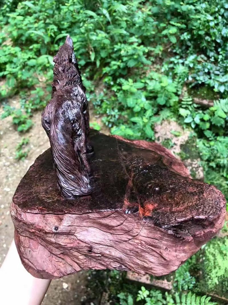 玩物直播尤尤 尤尤并进行销售或交流海报