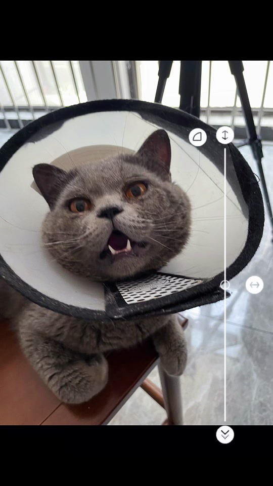 动漫上床 需要注意的动漫上床是