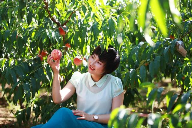 黑料娱乐圈海报