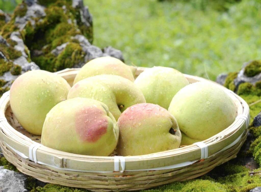 黑料娱乐圈 便于用户一站式获取