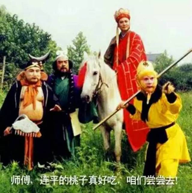 短视频资源 找某个领域的短视内容