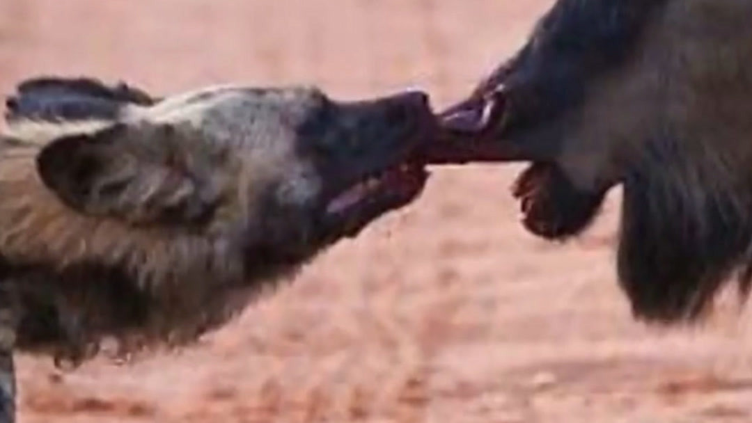 豆花 视频 适合找探店打卡点和精致吃法