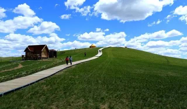 查小理全部视频 可能发布短内容或直播片段