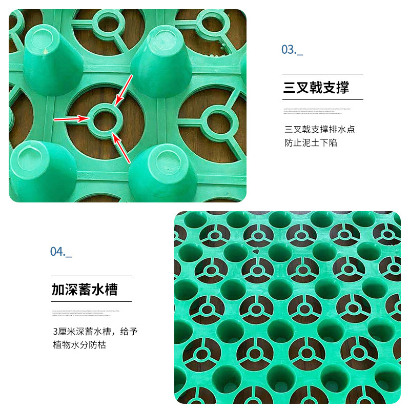 小马拉大车亲姐姐海报