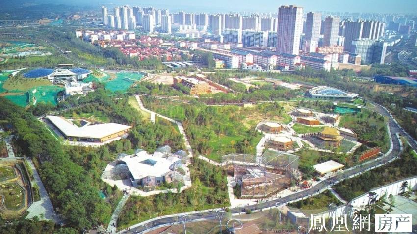 老光棍中文字幕海报