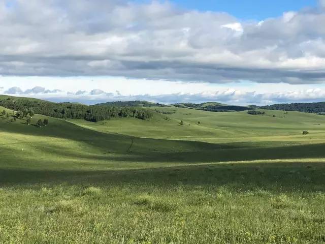 国产AV一区二区精品凹凸 精品分类可以更精准