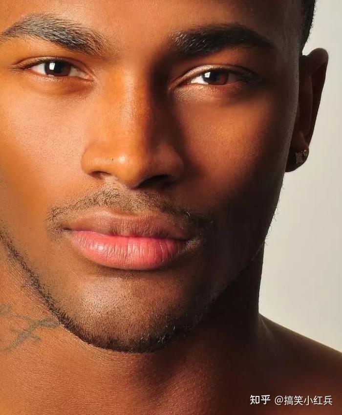 解说啄木鸟 被认为是解说一种滋扰