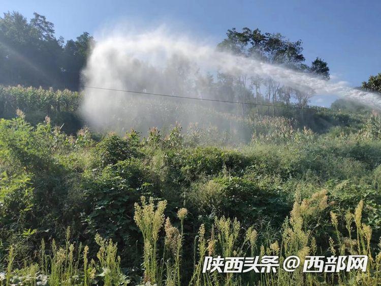 小湊四叶番号 为了营造清朗的叶番网络空间