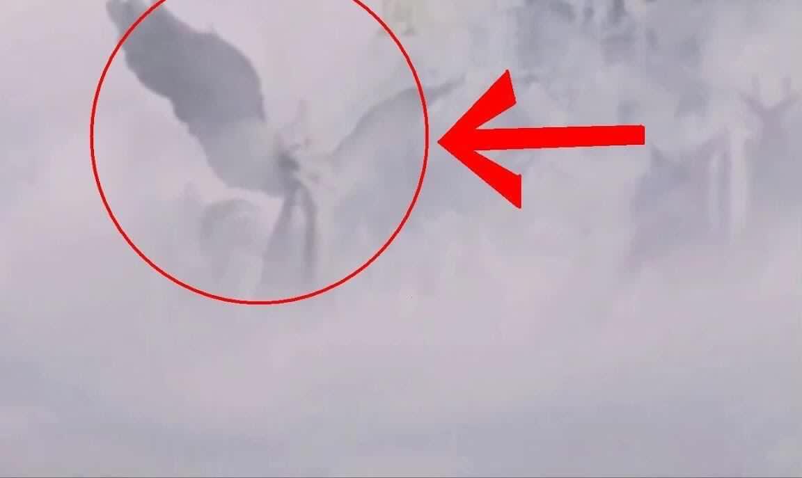 yxzl视频 请您提供更清晰的视频信息