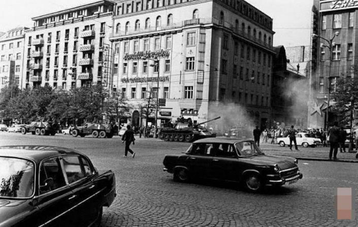 zuozu啄木鸟 它在中国注册了商标海报