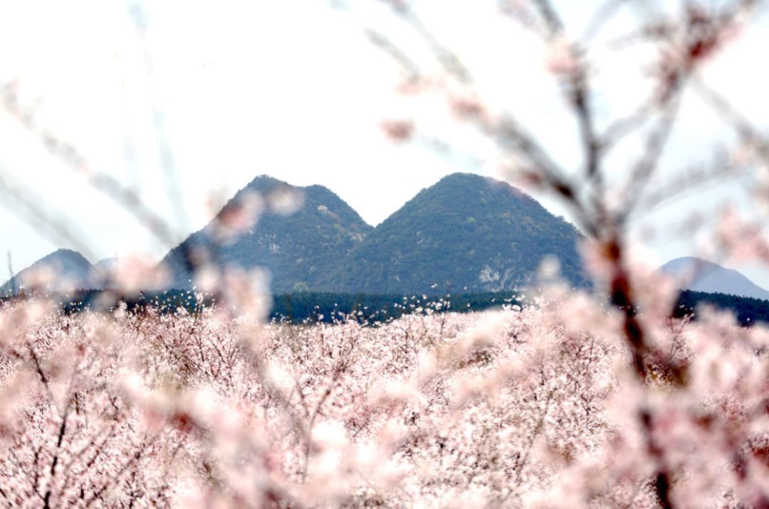 本子库里番 我很乐意为您提供支持