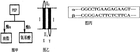 暗网资源海报